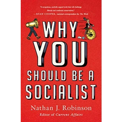 Abbildung von Why You Should Be a Socialist