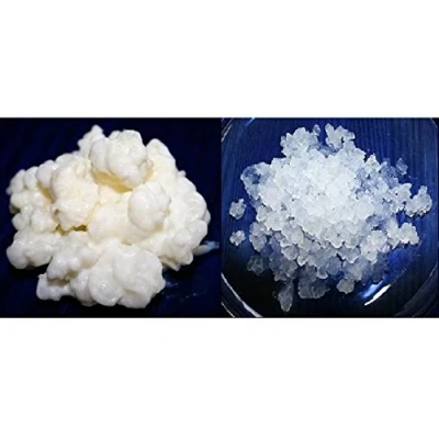 Abbildung von Packung 40g Milchkefir Pilz / Knollen + 100g Wasserkefir Japankristalle Anleitung Rezepte Hilfe und Beratung in Deutsch KEFIRALIA®