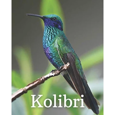 Abbildung von Kolibri: Das Bilderbuch der Kolibris Ideal für Parkinson Alzheimer &amp; Senioren mit Demenz.