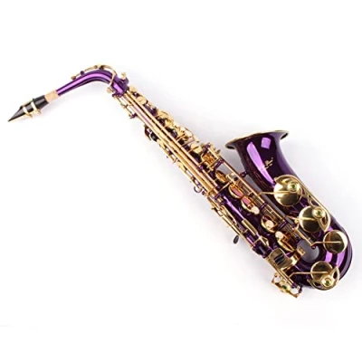 Abbildung von Karl Glaser Alt Saxophon, violett/gold, mit Koffer