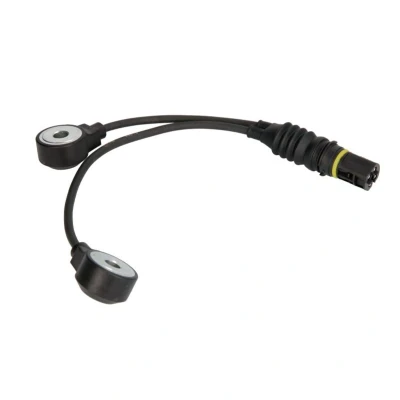 Abbildung von FAE 60213 Klopfsensor BMW: 3 Compact, 7, 5 Limousine
