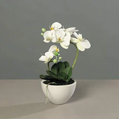 Abbildung von mucplants künstliche wunderschöne Orchidee Phalaenopsis Weiß mit Real Touch Beschichtung H. 35cm in Keramikschale Creme Kunstblume Kunstpflanze Dekopflanze