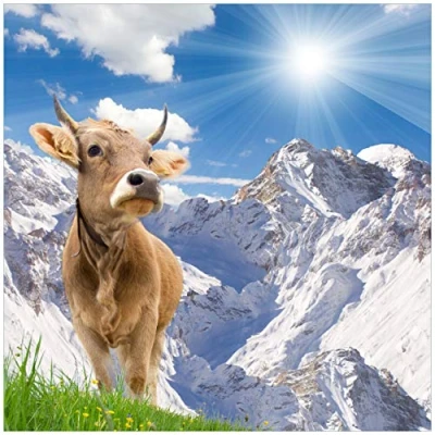 Abbildung von Wallario Glasbild Kuh im Sonnenschein in den Alpen 50 x cm Wandbilder Glas Premium Qualität: Brillante Farben, freischwebende Optik