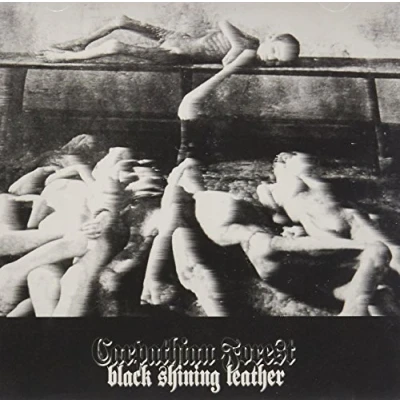 Abbildung von Black Shining Leather