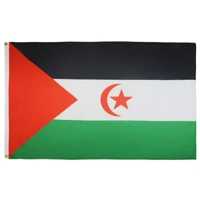 Abbildung von AZ FLAG Flagge Westsahara 150x90 cm Demokratische Arabische Republik Sahara Fahne 100% Polyester mit Messing Ösen 110g