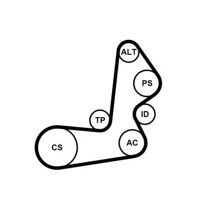 Abbildung von CONTITECH 6PK1515K1 Keilrippenriemensatz HYUNDAI: Trajet, SANTA FE I, 2, KIA: Sportage II, CARENS 3