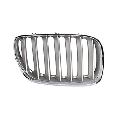 Abbildung von BLIC 6502 07 0095998P Kühlergrill vorne rechts titan BMW: X5