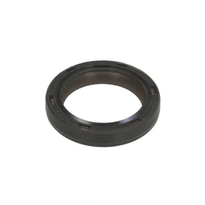 Abbildung von REINZ 81 42704 00 Nockenwellendichtung VOLKSWAGEN: Passat B8 Variant, Tiguan I, Golf 7 Schrägheck, AUDI: A3 A1 Sportback, Sportback