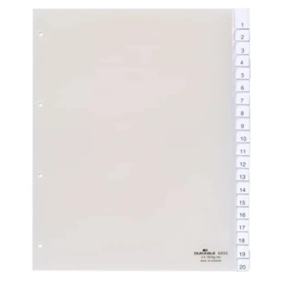 Abbildung von Durable Register A4+ blanko PP 20 teilig transparent