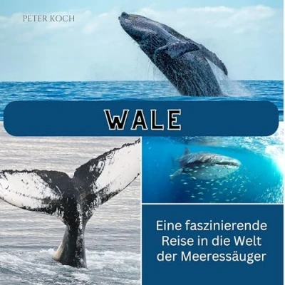 Abbildung von Wale: Eine faszinierende Reise in die Welt der Meeressäuger