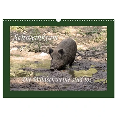 Abbildung von Schweinkram Die Wildschweine sind los (Wandkalender 2025 DIN A3 quer), CALVENDO Monatskalender