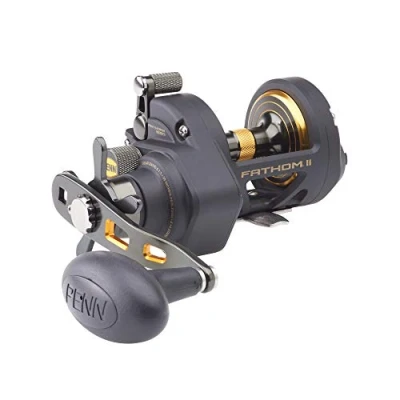 Abbildung von Penn Fathom II Star Drag RH Meeresrolle 15 Multirolle