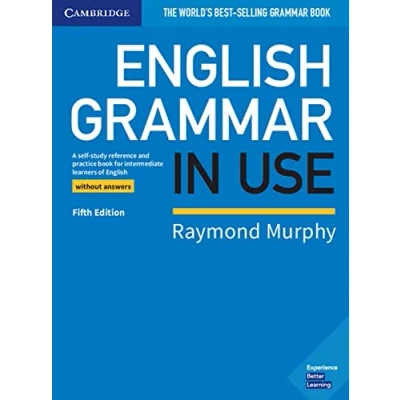 Abbildung von English Grammar in Use: Fifth Edition. Book without answers
