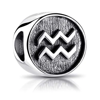 Abbildung von MATERIA Sternzeichen Wassermann Anhänger Silber 925 Beads Perle Charms für Armband oder Kette antik schwarz #554