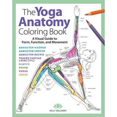 Abbildung von The Yoga Anatomy Coloring Book: A Visual Guide to Form, Function, and Movement (Anatomy Books)