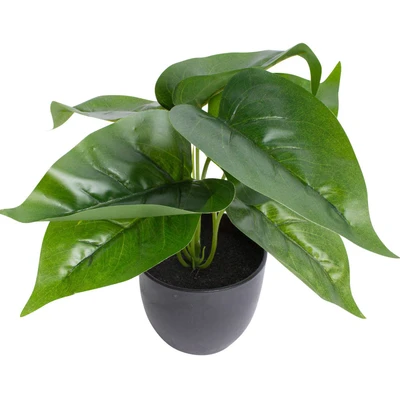 Abbildung von Botanic Haus Künstliche Zimmerpflanze &quot;Philodendron&quot;