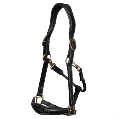 Abbildung von Dyon Pflegehalfter Artificial Leather Anatomic DC Schwarz