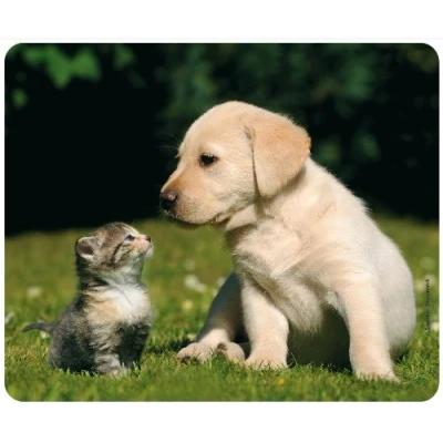 Abbildung von Edition Colibri Mousepad/Mauspad: Katze und Hund, Tiere, Qualitäts Mauspad 23 x 19 cm aus extrem reissfestem Spezialkautschuk mit stark haftender Unterseite für optimalen Halt (Motiv 108)