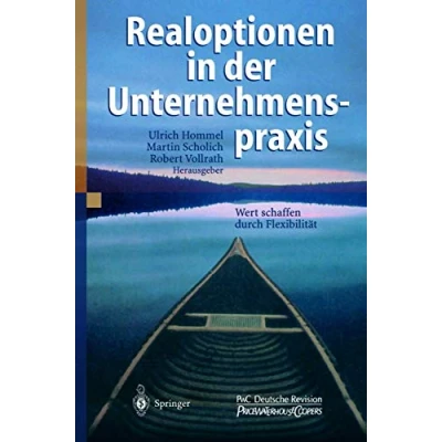 Abbildung von Realoptionen in der Unternehmenspraxis: Wert schaffen durch Flexibilität