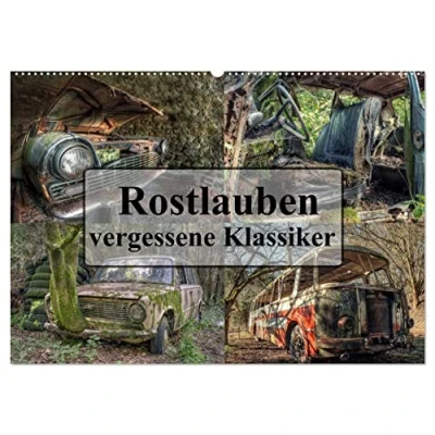 Abbildung von Rostlauben vergessene Klassiker (Wandkalender 2025 DIN A2 quer), CALVENDO Monatskalender