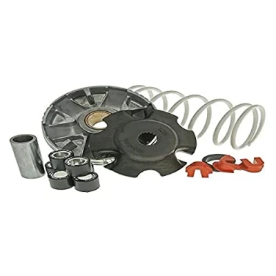 Abbildung von Variator Malossi Multivar 2000 Piaggio Zip 4T 50cc, Liberty Gegendruckfeder: Weiss, Gewichte: 19x15,5mm 6,10g