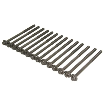 Abbildung von ELRING 233.380 Zylinderkopfschraubensatz Außen Torx BMW: 5 Touring, 7, X5