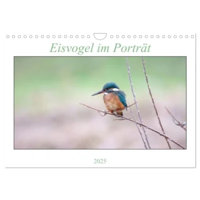 Abbildung von Eisvogel im Porträt (Wandkalender 2025 DIN A4 quer), CALVENDO Monatskalender