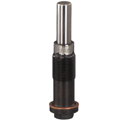 Abbildung von FEBI BILSTEIN 46381 Spanner, Steuerkette FORD: S Max Mk1, Focus Mk1 Kombi