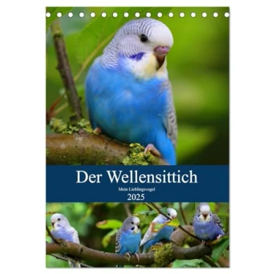 Abbildung von Der Wellensittich Mein Lieblingsvogel (Tischkalender 2025 DIN A5 hoch), CALVENDO Monatskalender