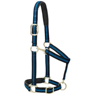 Abbildung von Weaver Leather Halfter für kleine Pferde, gepolstert, verstellbar, Nylon, 2,5 cm, Blau