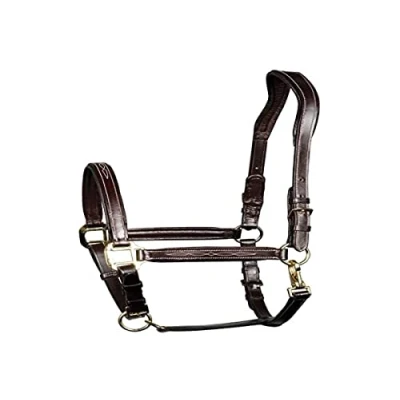 Abbildung von Harry&#039;s Horse Lederhalfter, gepolstert, Supreme Braun WB