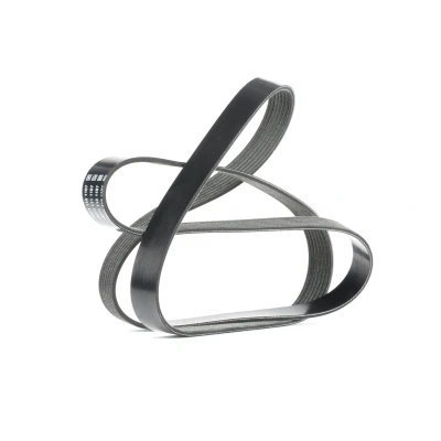Abbildung von DAYCO 7PK1687S Keilrippenriemen 1687,0 7 RENAULT: MEGANE 3 Grandtour, SCENIC 3, GRAND NISSAN: Qashqai / Qashqai+2 I, 2
