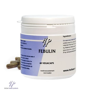 Abbildung von Holisan Febulin 60 St