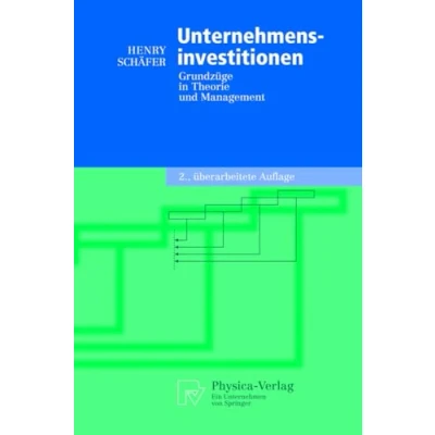 Abbildung von Unternehmensinvestitionen: Grundzüge in Theorie und Management (German Edition) (Physica Lehrbuch)