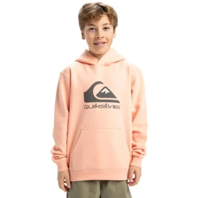 Abbildung von Quiksilver Big Logo Hoodie Pullover aus Fleece Kind