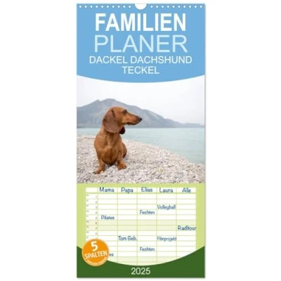 Abbildung von Familienplaner 2025 DACKEL DACHSHUND TECKEL mit 5 Spalten (Wandkalender, 21 cm x 45 cm), CALVENDO