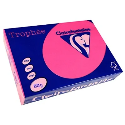Abbildung von 5 x Clairefontaine Kopierpapier Trophee A4 80g/qm VE=500 Blatt eosin