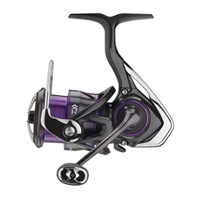 Abbildung von Daiwa 22 Prorex V LT Spinmolen 2500 XH Angelrolle