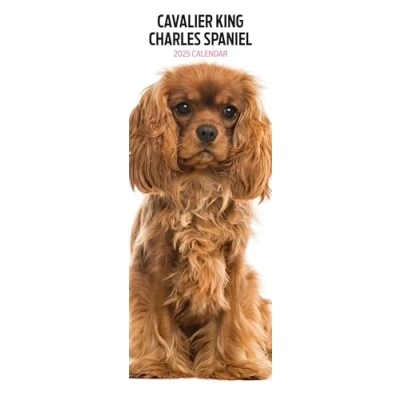 Abbildung von Cavalier King Charles 2025 schmaler Kalender