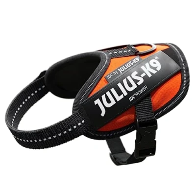 Abbildung von Julius K9 IDC sele, str.: Baby 2, UV Orange, 33 45 cm