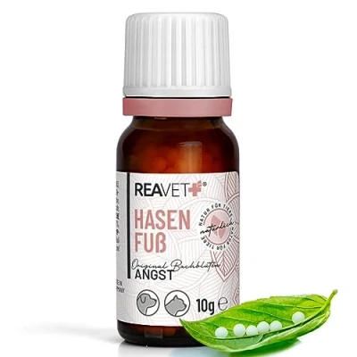 Abbildung von BIO Bachblüten Globuli Hasenfuß 10 g