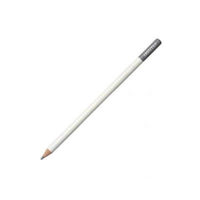 Abbildung von Tombow Farbstift IROJITEN Farbe pigeon gray hochwertige wachsbasierte Mine mit hoher Farbbrillanz Künstlerfarbstift für Profi und Hobbykünstler [CI RP10]