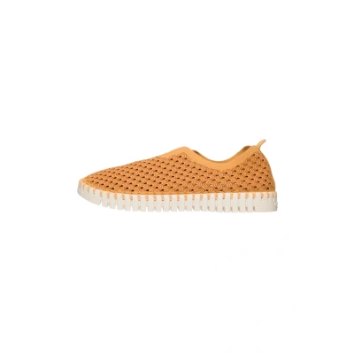 Abbildung von Ilse Jacobsen Tulip Slipper, Damen, Größe: 36, Golden nugget Nylon