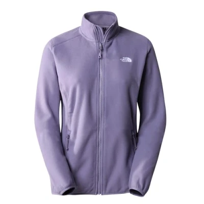 Abbildung von THE NORTH FACE Glacier Sweatshirt Lunar Slate XL