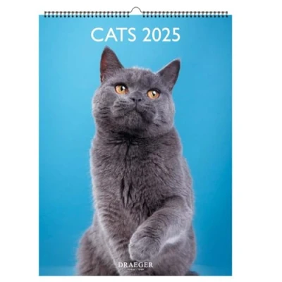 Abbildung von Wandkalender 29 x 39 cm 2025 Januar bis Dezember Katzen