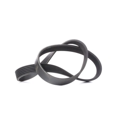 Abbildung von CONTITECH 6PK923 Keilrippenriemen 923 6 VOLKSWAGEN: Caddy 2 Kombi, GOLF 3, Transporter 4 Pritsche / Fahrgestell, SKODA: Fabia 1 Combi, AUDI: Q7