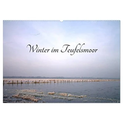 Abbildung von Winter im Teufelsmoor (Wandkalender 2025 DIN A2 quer), CALVENDO Monatskalender