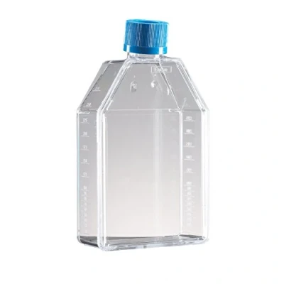 Abbildung von Falcon Polystyrol Zellkulturflaschen, Schräger Hals, 250mL Kapazität, 100 Stück