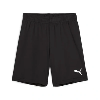 Abbildung von PUMA Trainingsshorts TEAMGOAL SHORTS JR