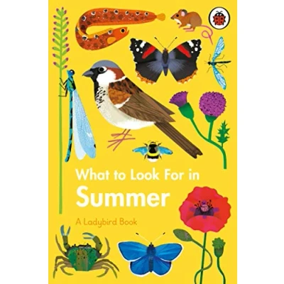 Abbildung von What to Look For in Summer (A Ladybird Book)